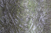 Pont Y Wal fibreglass roof work